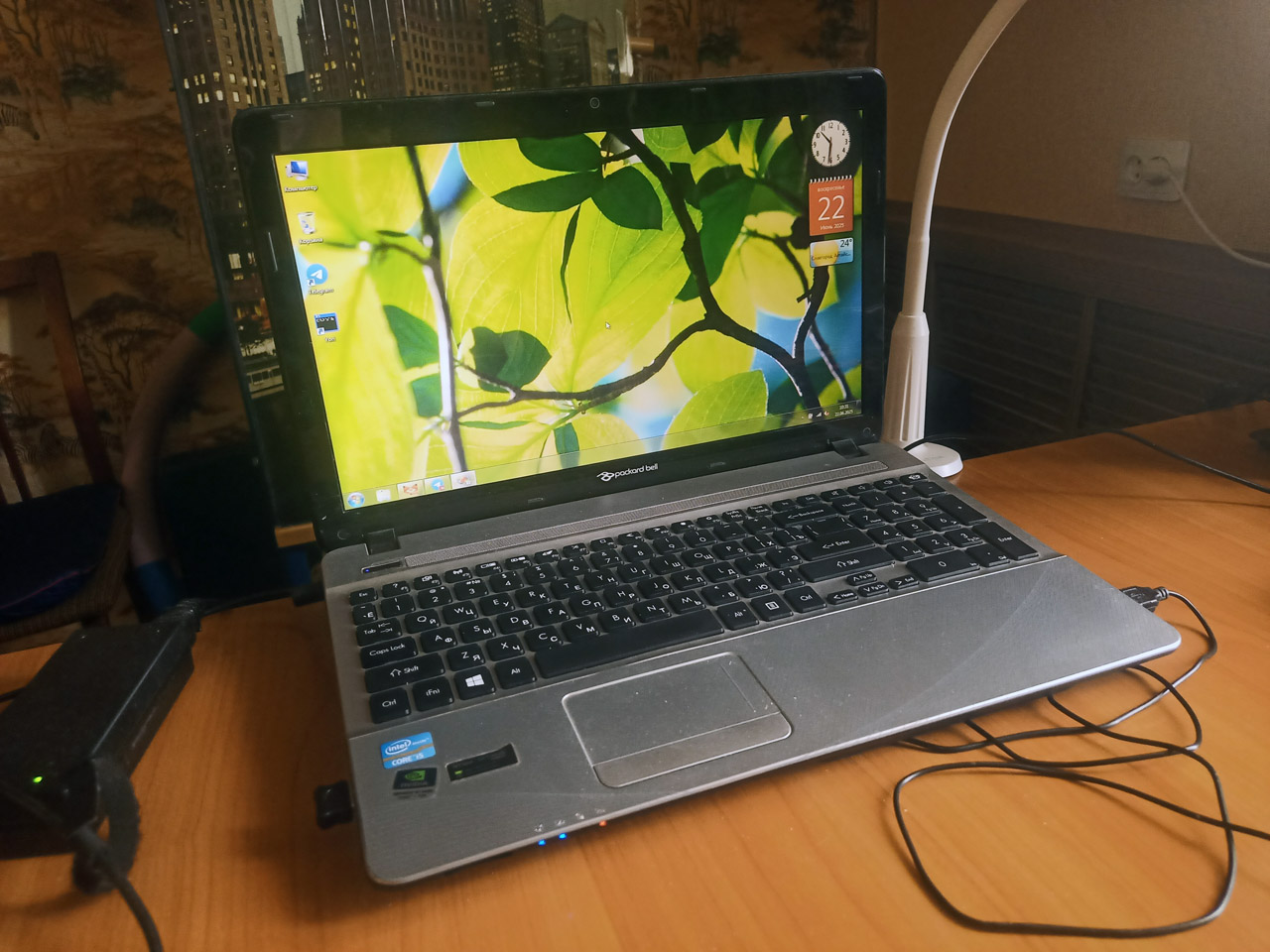 ������� Packard Bell EasyNote P5WS0 (TSX62-HR)